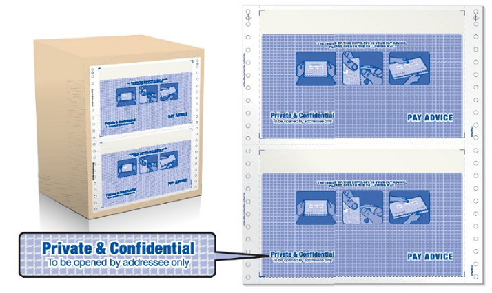 Pre-Printed Envelope Mailer Form ( PaySlip )