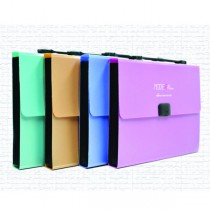 EMI PP Expanding File