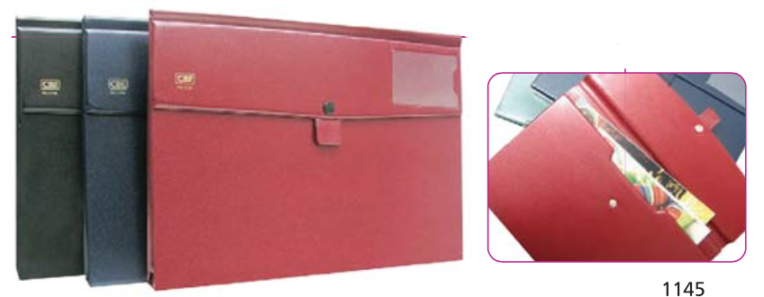 CBE PVC POCKET FILE